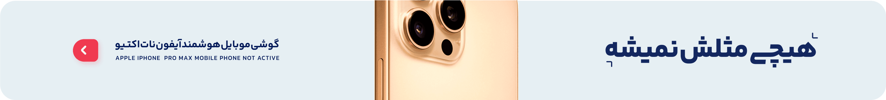 Banner 1